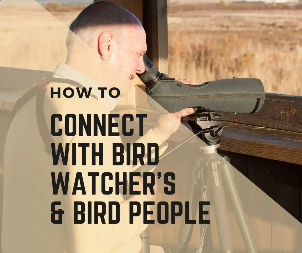 Ways to Connect with Bird People