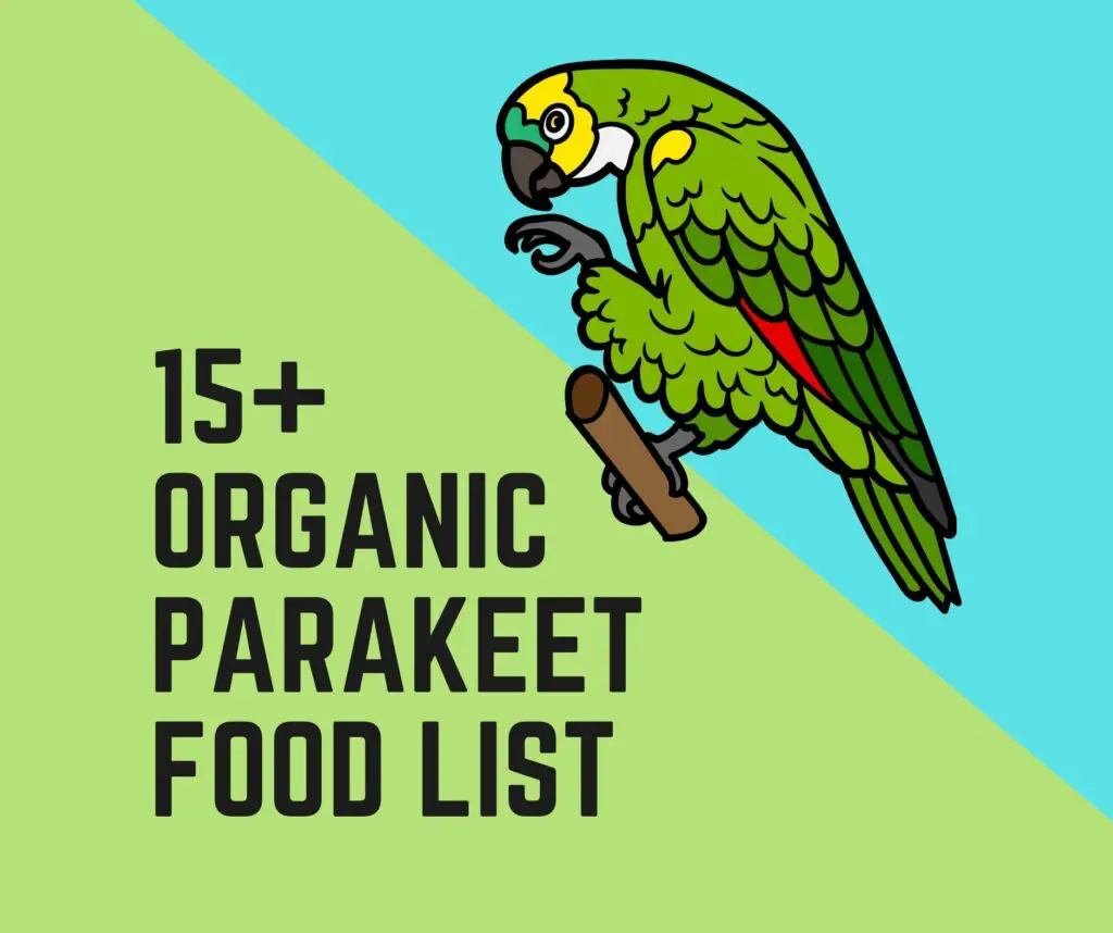 Organic Parakeet Food