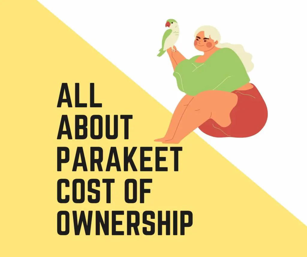 Parakeet Cost Of Ownership