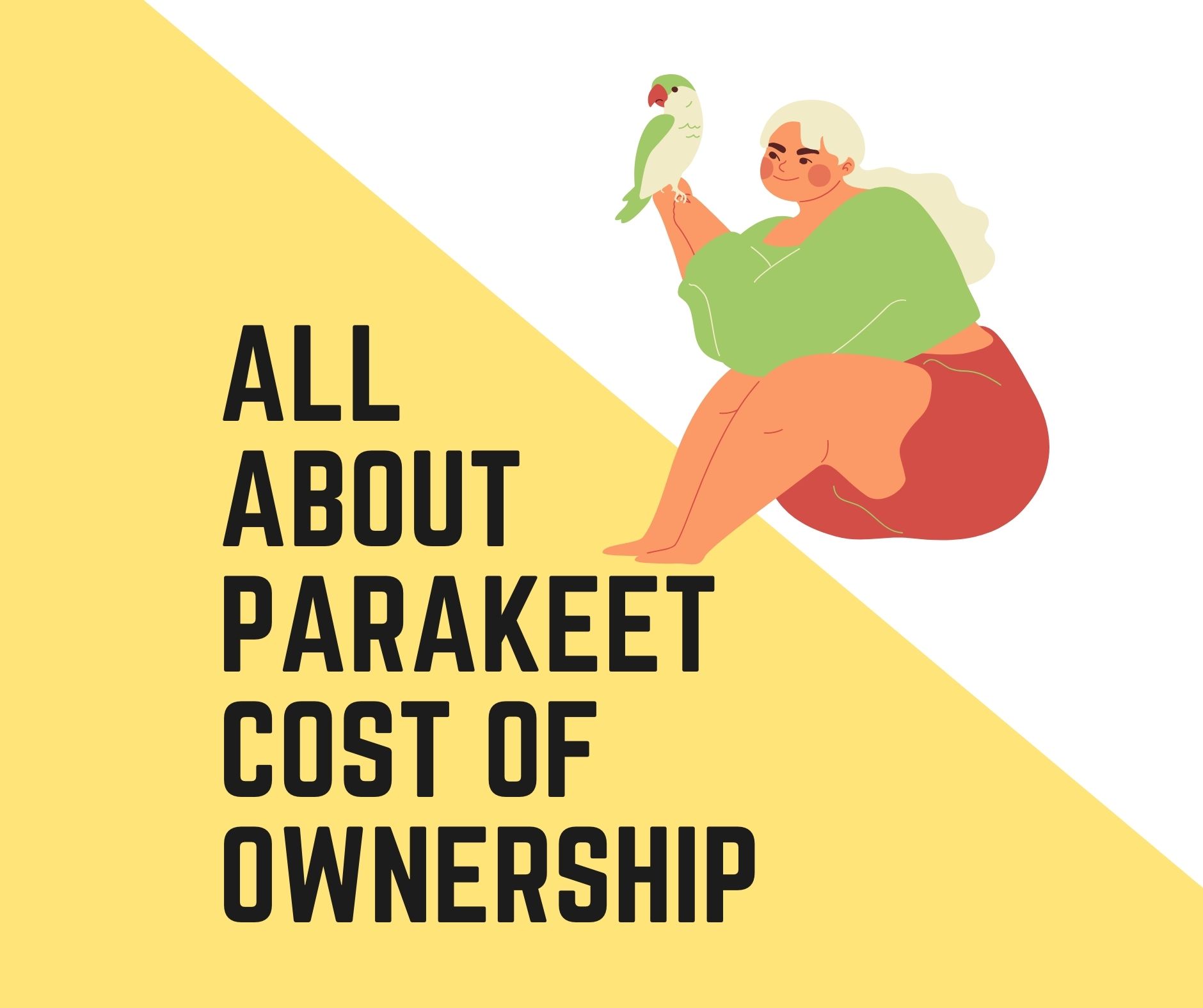 Cost Of Ownership How Much Do Parakeet Cost? Birds News