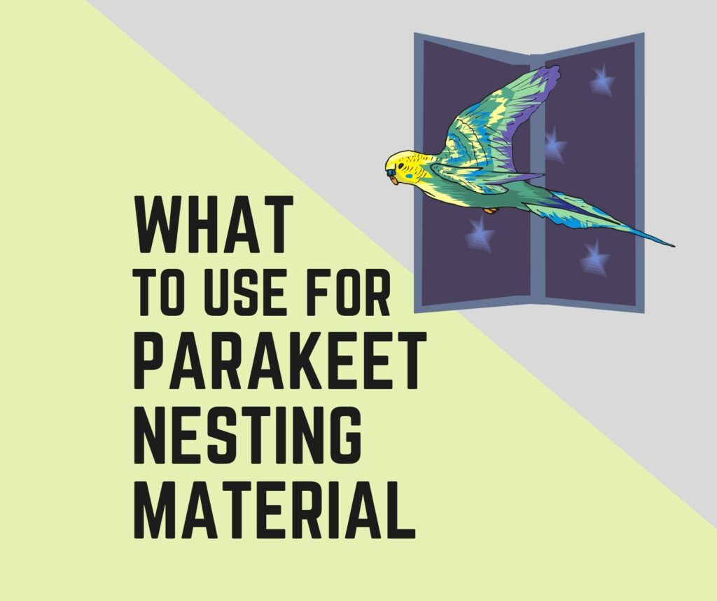 What To Use For Parakeet Nesting Material