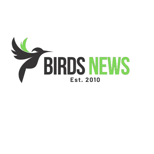 (c) Birdsnews.com