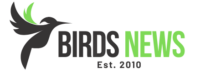 Birds News