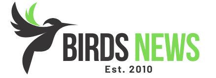 Birds News