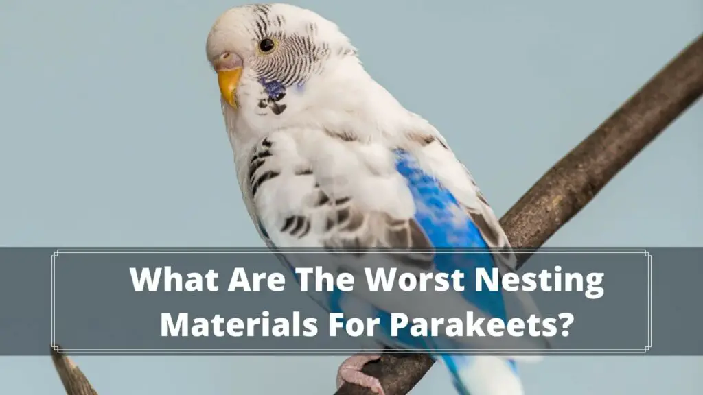 what are the worst nesting materials for parakeets