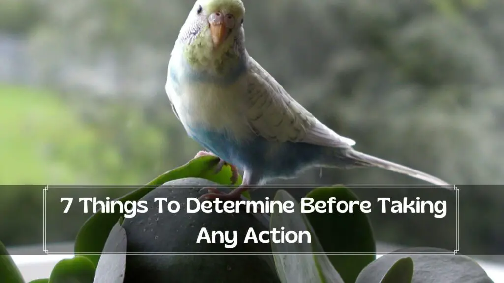 7 things to determine before taking any action