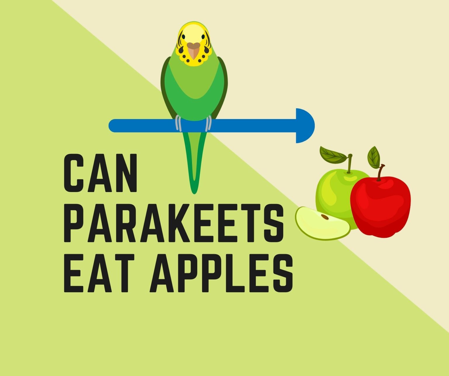 Can Parakeets Eat Apples? (Its Seed, Skin, Sauce, Or Juice) Birds News