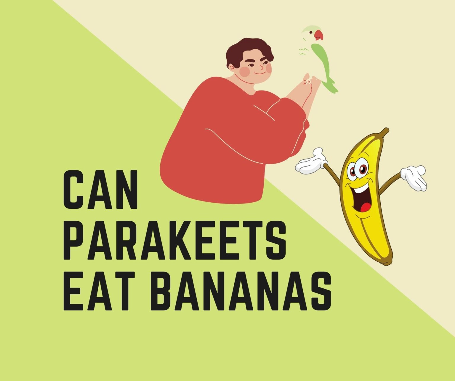 Can Parakeets Eat Bananas (Its Peel, Chips, Or Peppers?) Birds News