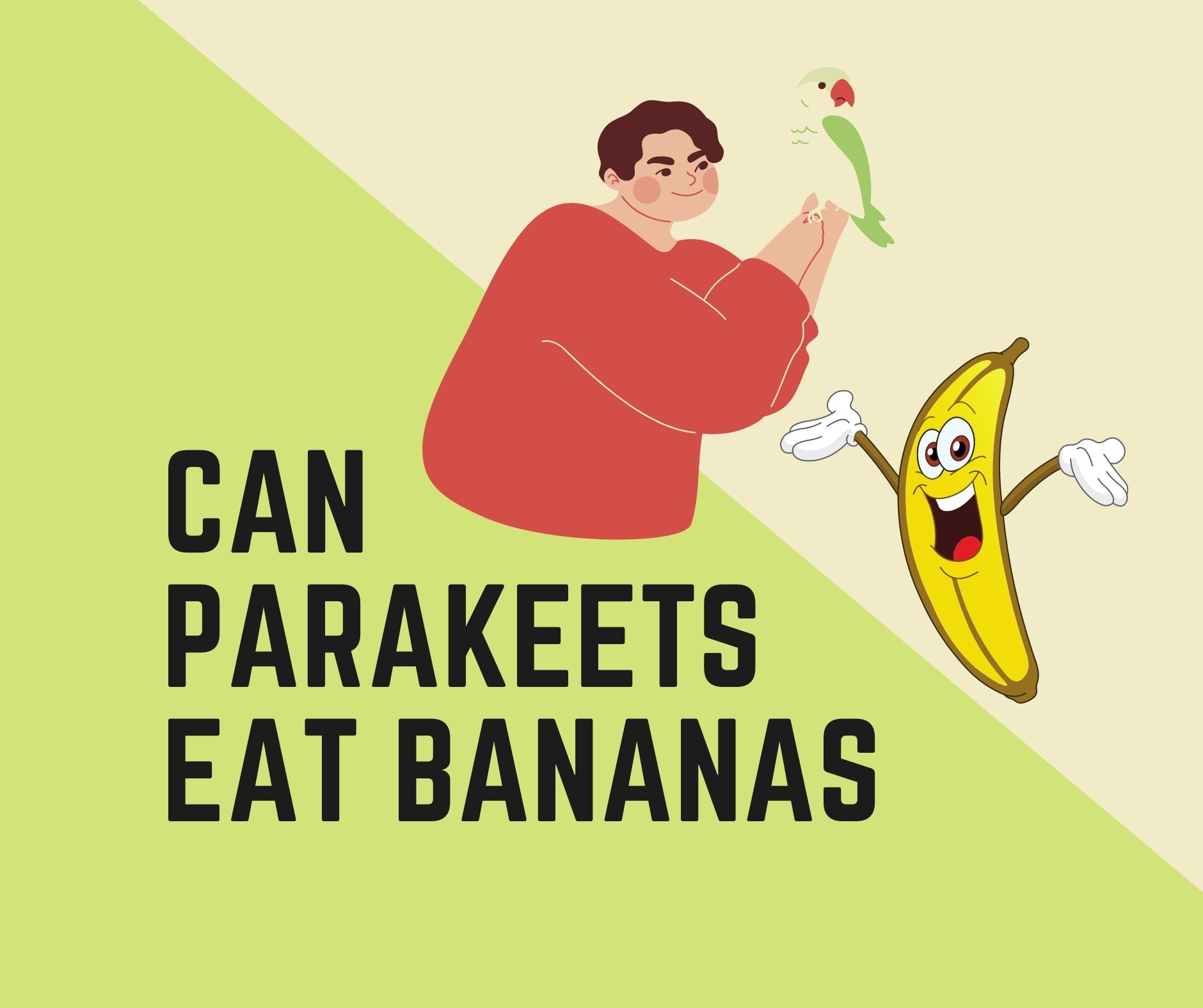 Can Parakeets Eat Bananas