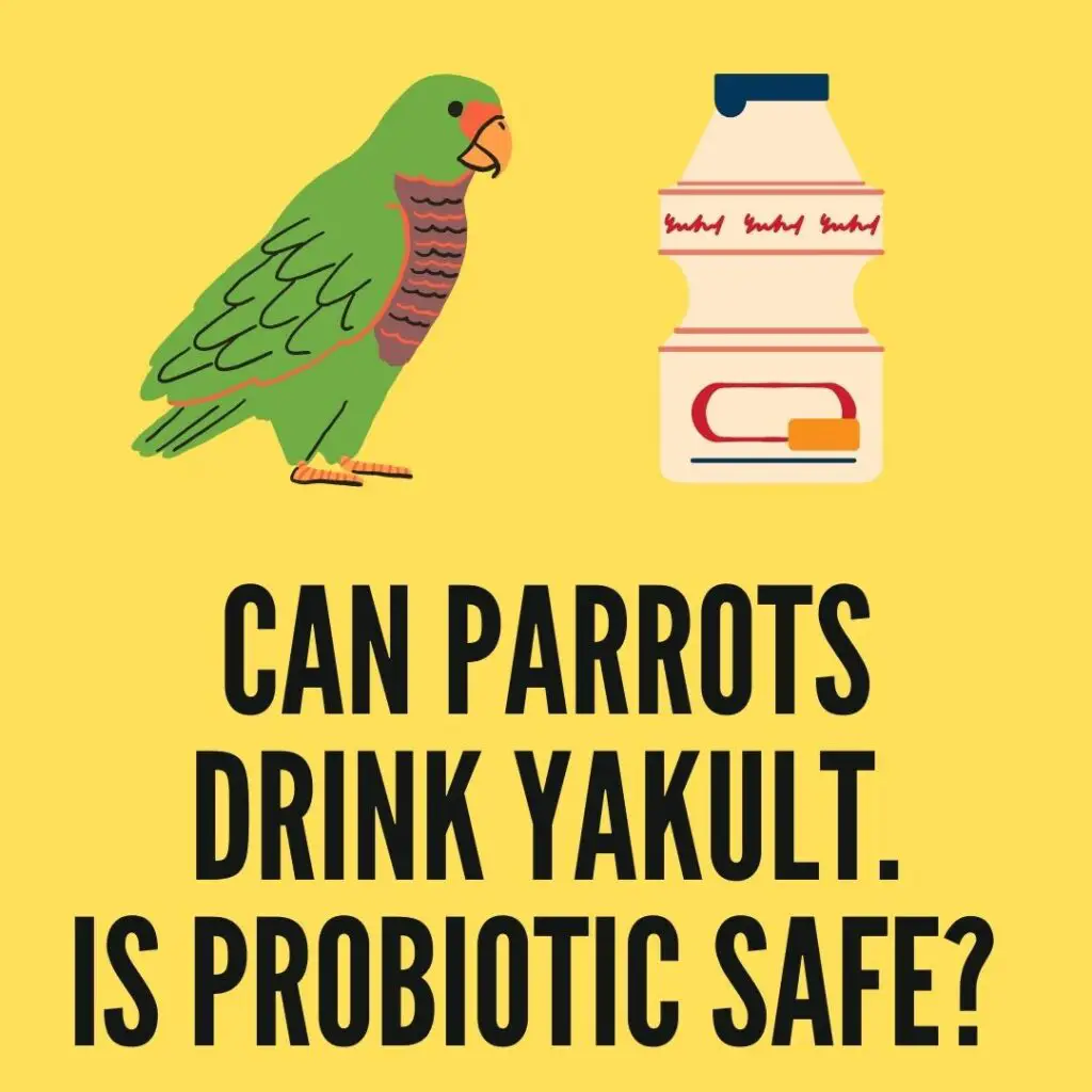 Can parrots drink Yakult