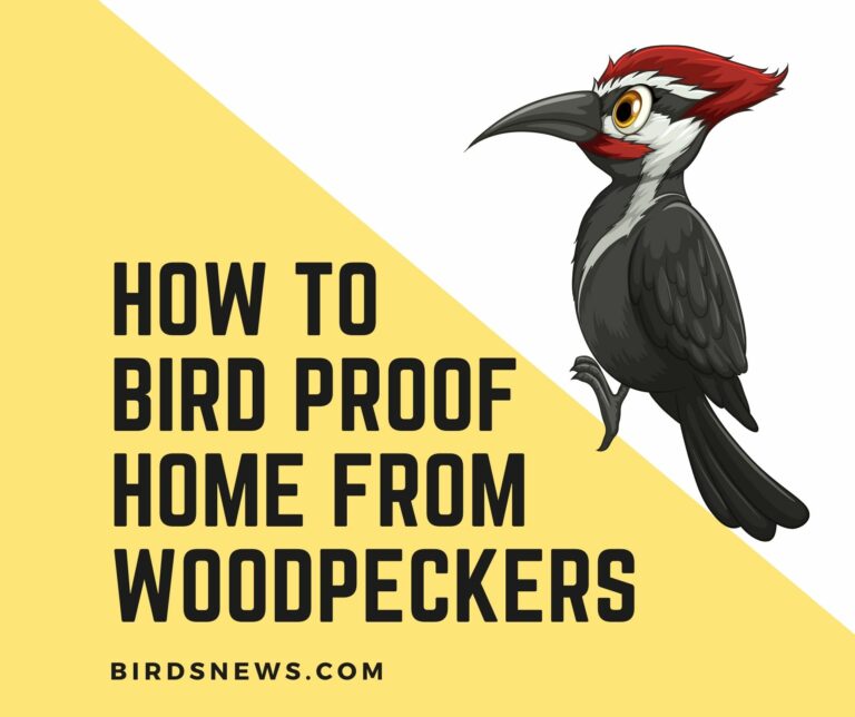 how to bird proof your home from woodpeckers