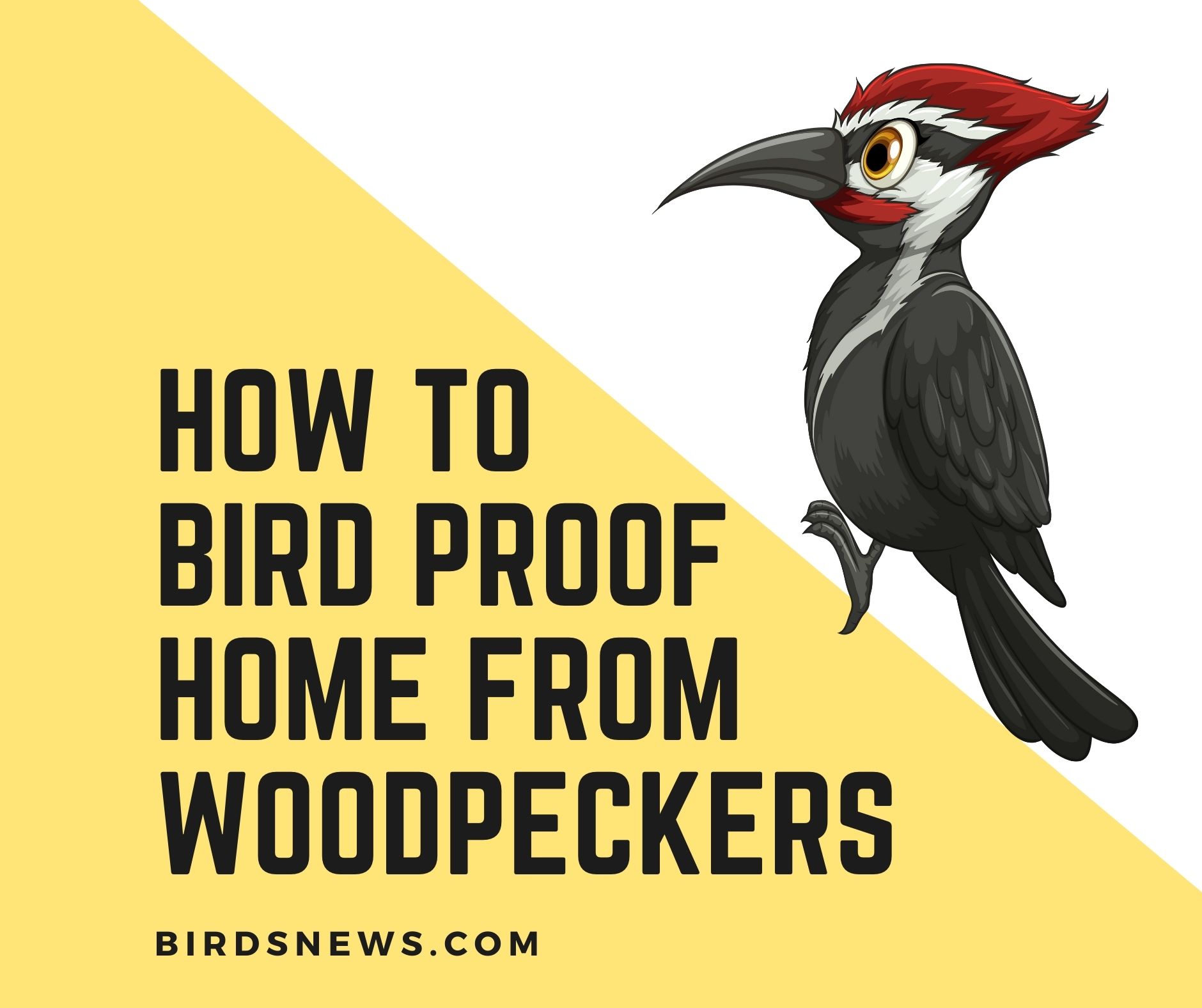 how to bird proof your home from woodpeckers