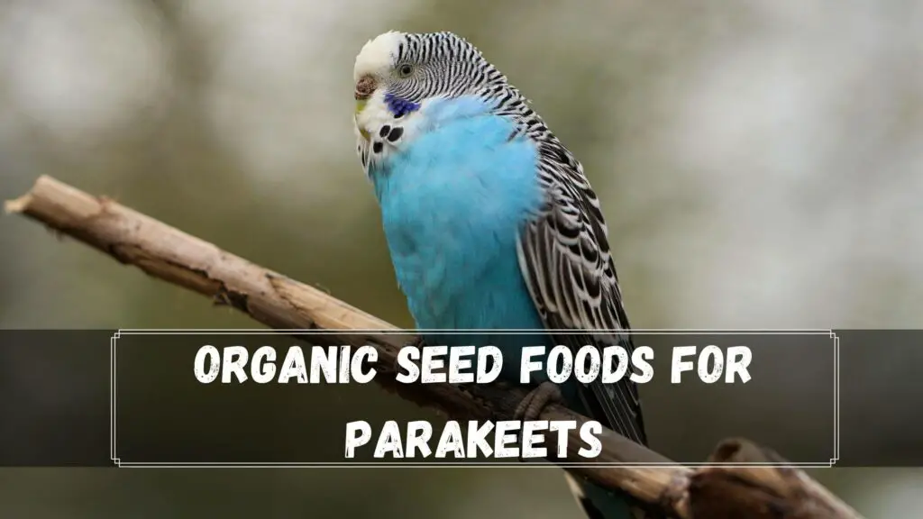 organic seed foods for parakeets