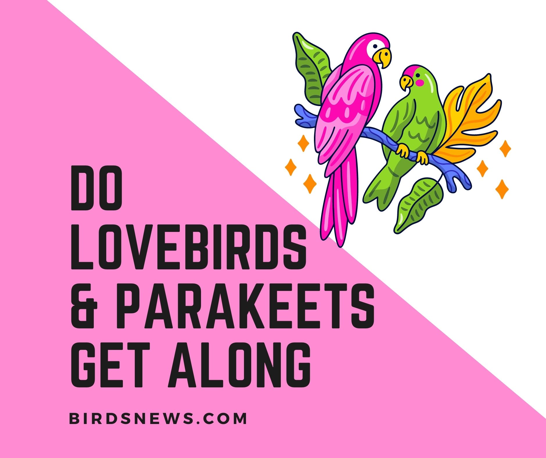 Do Lovebirds And Parakeets Get Along