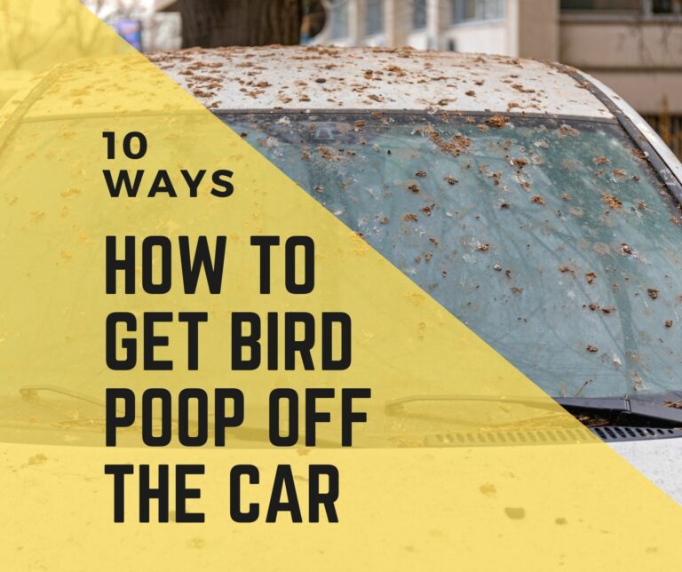 How To Get Bird Poop Off The Car