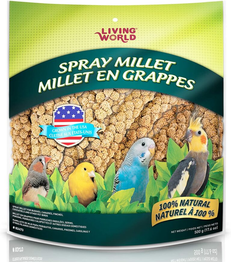 3 Best Millet Spray For Parakeets In 2022 Birds News