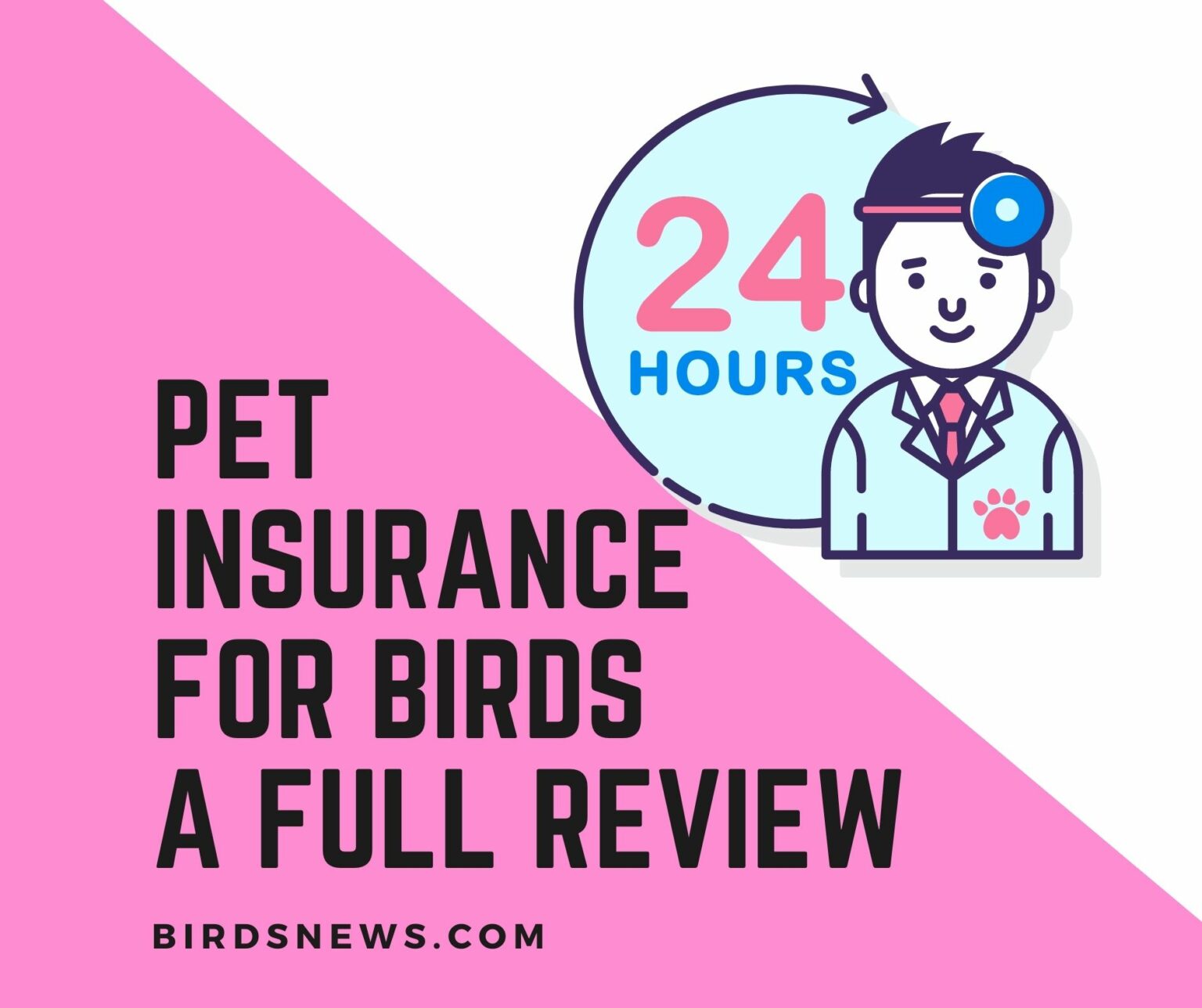 Pet Insurance for Birds [Ultimate Guide 2022] Birds News