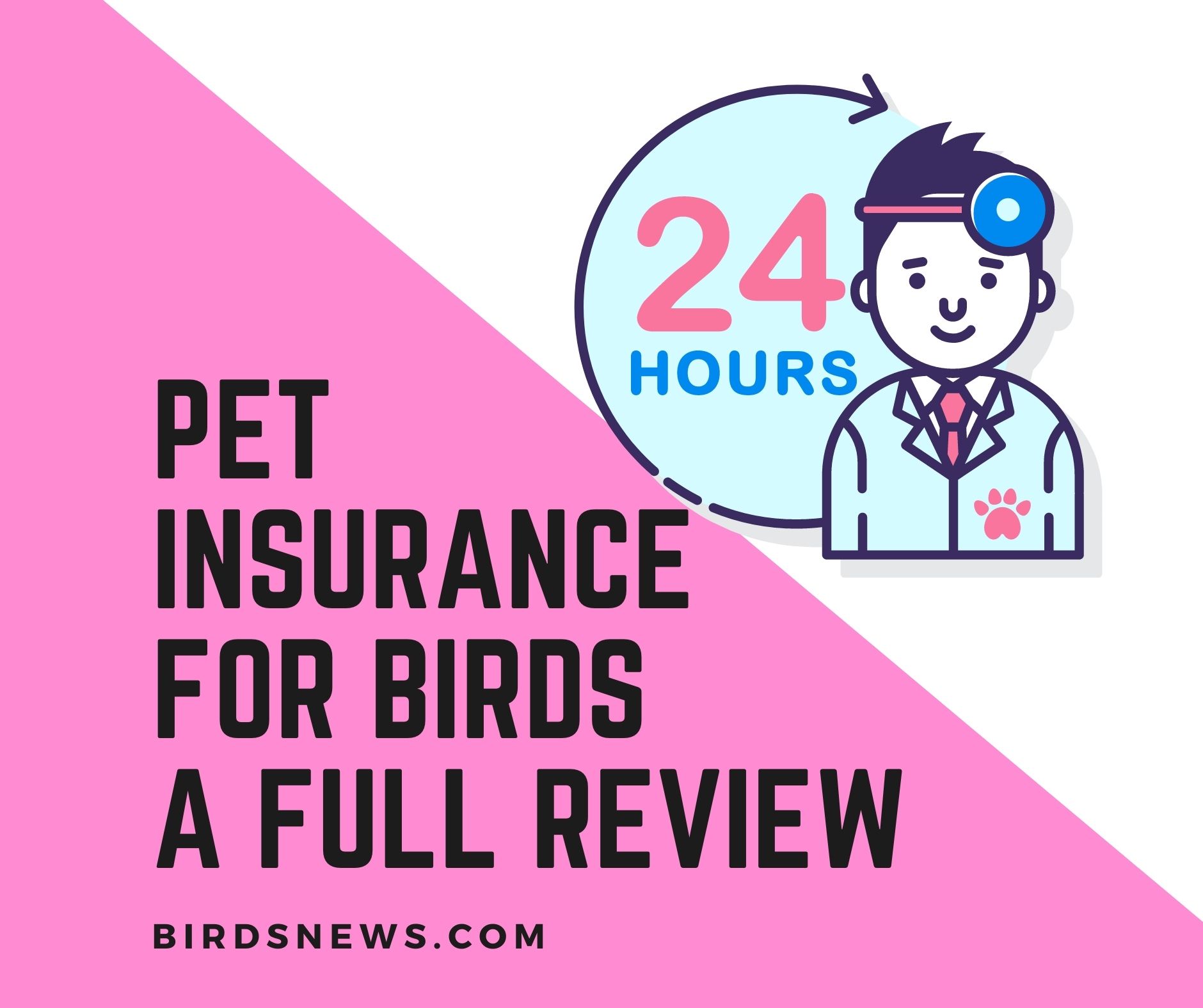 Pet Insurance for Birds Review