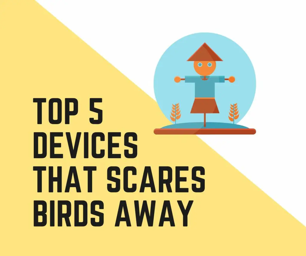 device that scares birds away