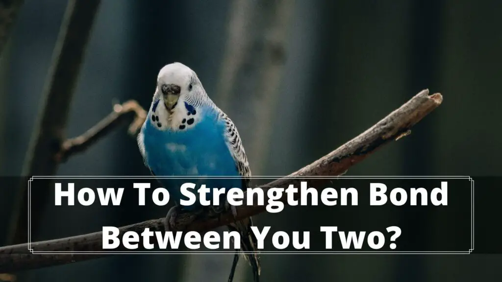 how to strengthen bond between you two