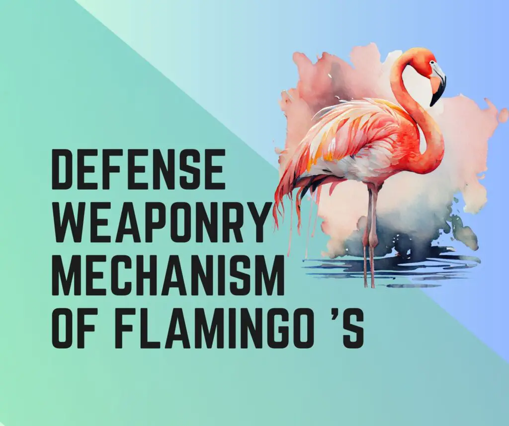 Greater Flamingo Defense Mechanism and Weaponry