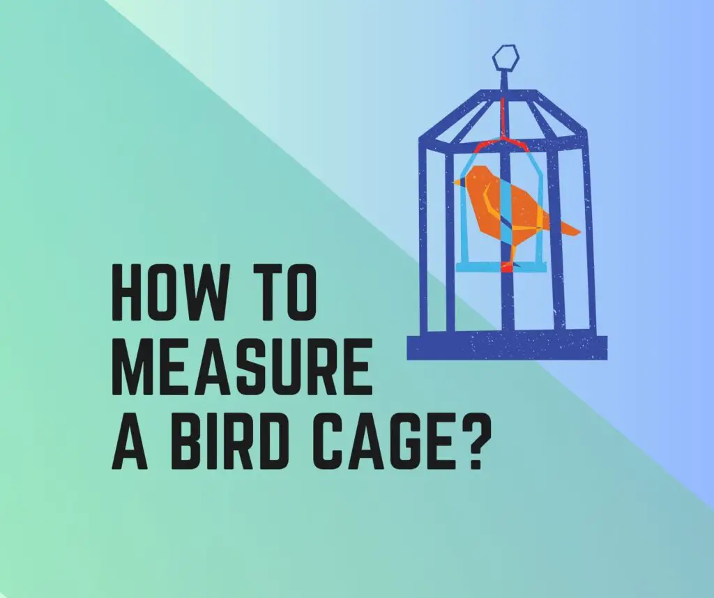 How To Measure A Bird Cage?