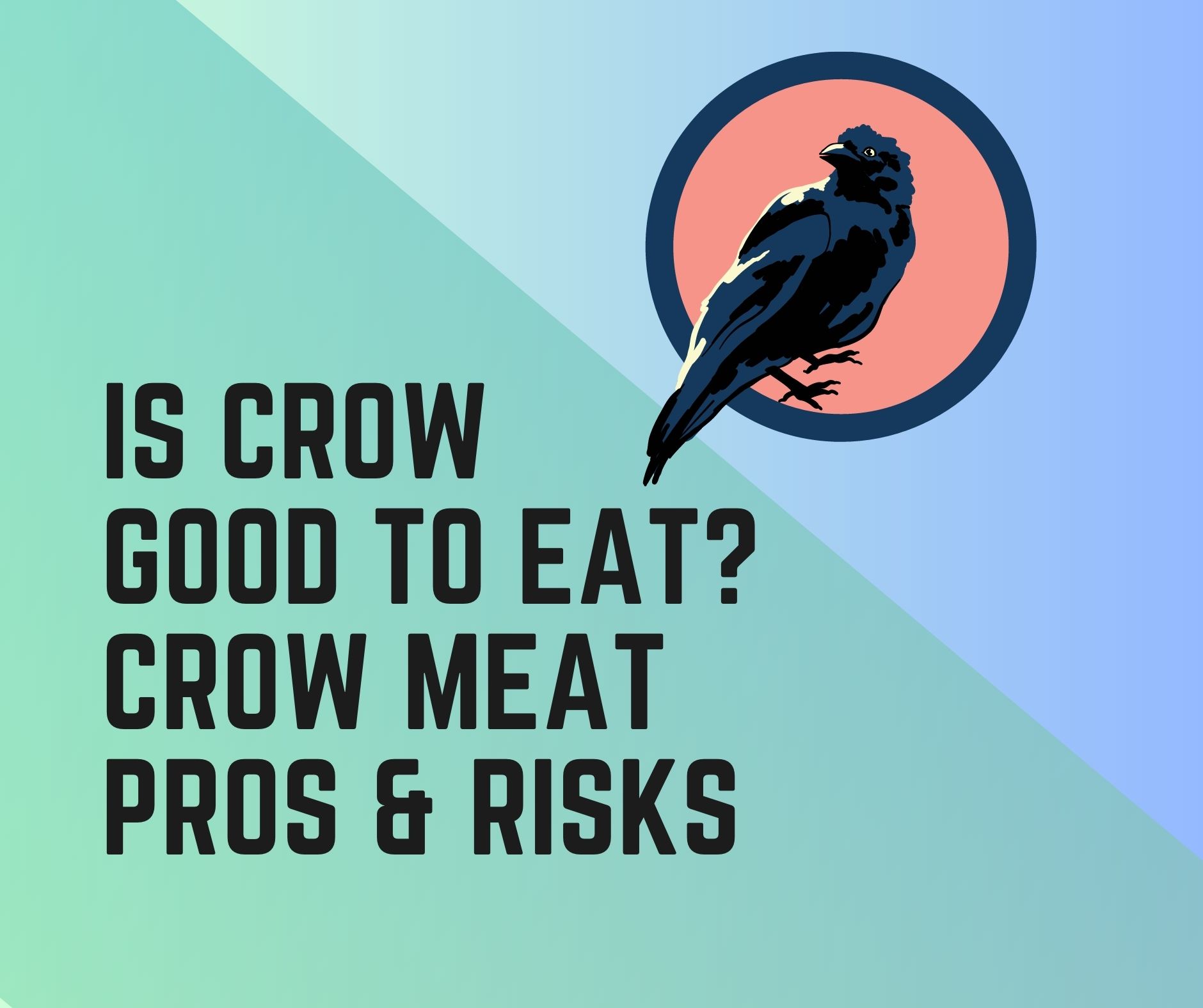 Is Crow Good To Eat? Crow Meat Benefits and Risks - Birds News