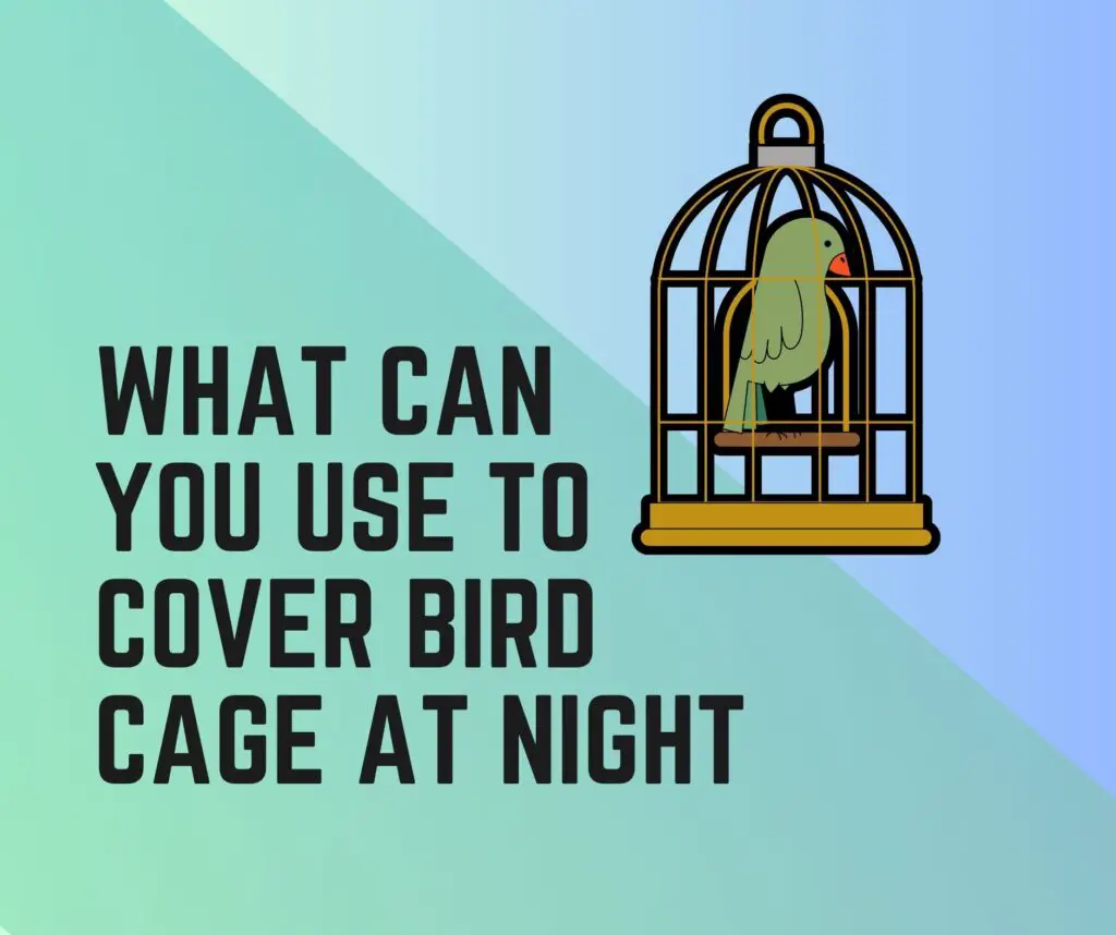 What Can You Use to Cover Your Bird Cage at Night?
