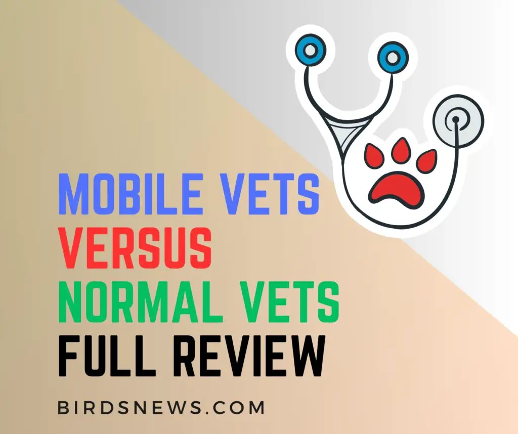 Normal Avian Vets Vs Mobile Avian Vets