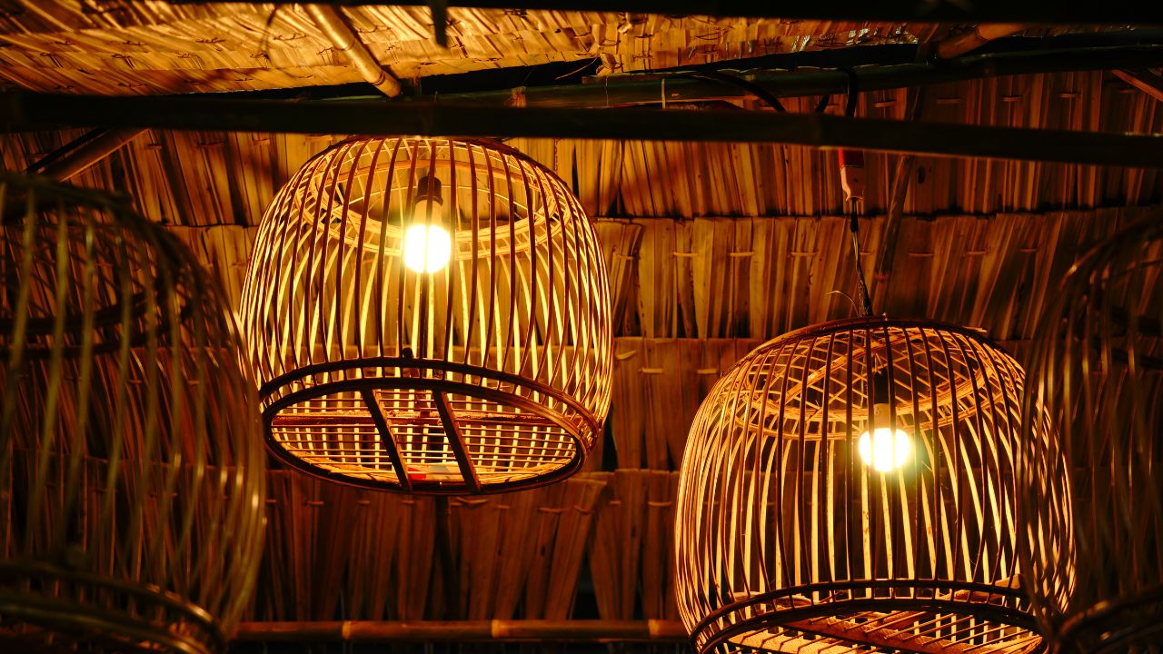 What Can You Use to Cover Your Bird Cage at Night? Birds News