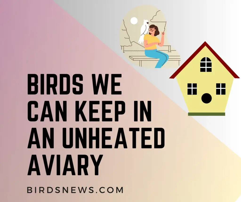 What Birds Can I Keep In An Unheated Aviary